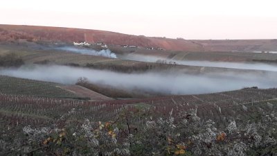 Brume matinale