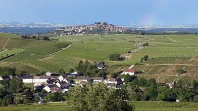 The Bué vineyard with Sancerre in the background